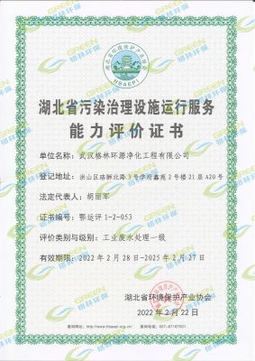 湖北省污染治理設施運行服務能力評價證書工業廢水處理一級