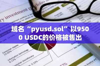 域名pyusd.sol以9500 USDC價格售出，凸顯數據處理與存儲服務領域增長潛力